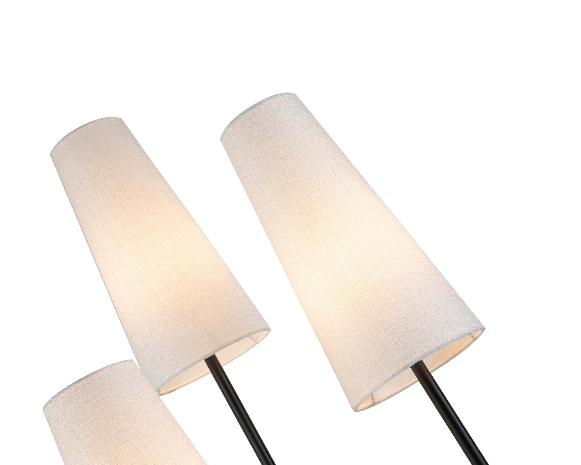 Poiset Floor Lamp - Black Matt Metal